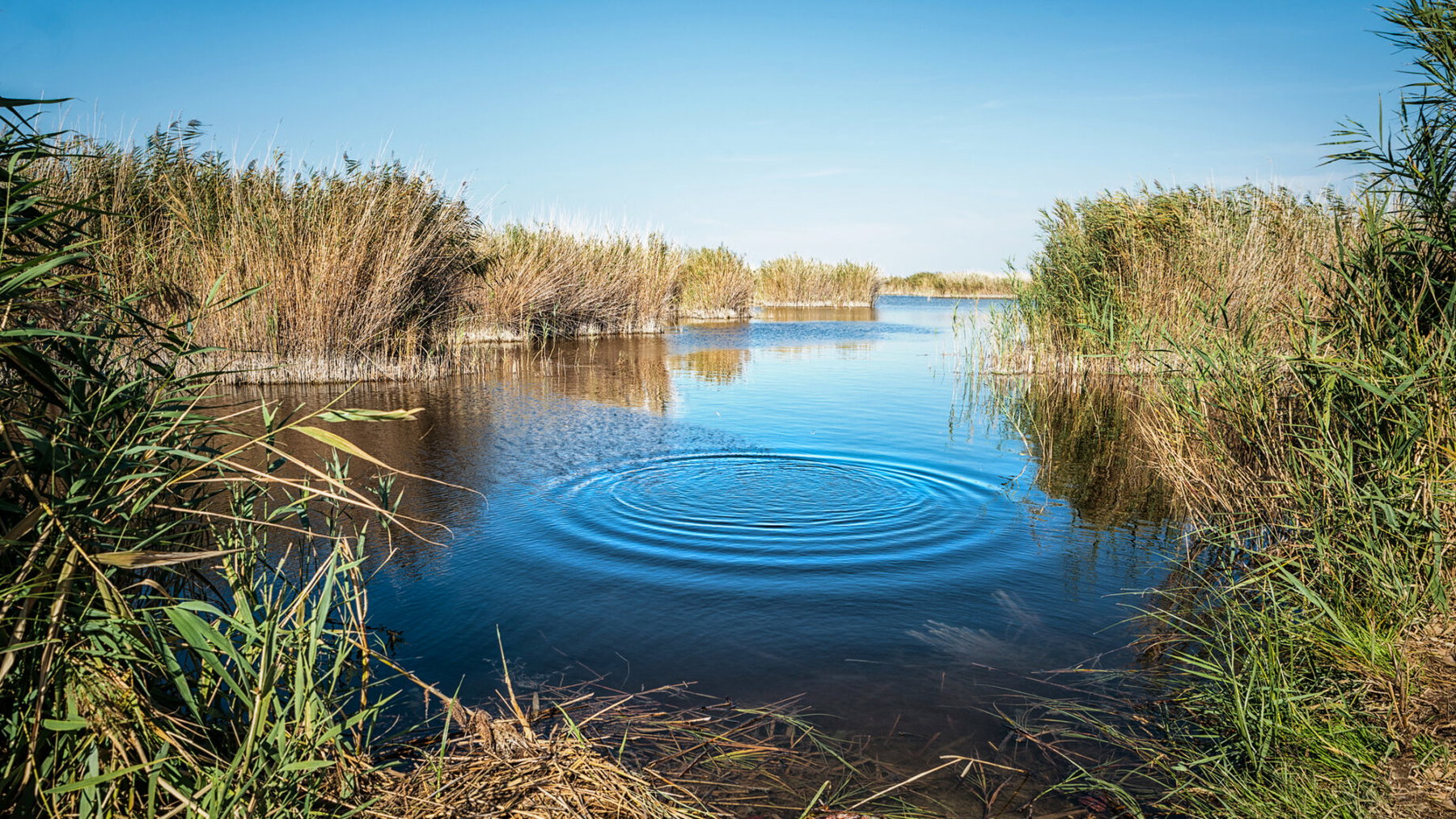 Naturlehrpfad Illmitz. Foto: Doris List-Winder