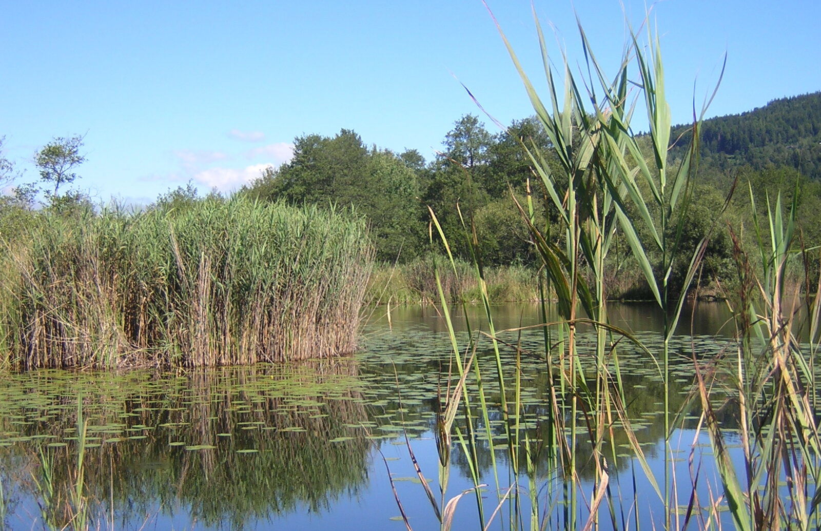 Naturatrail Keutschacher Seental. Foto: Andrea Lichtenecker/Naturfreunde Österreich