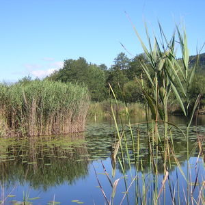 5 Natura Trail „Im Keutschacher Seental“