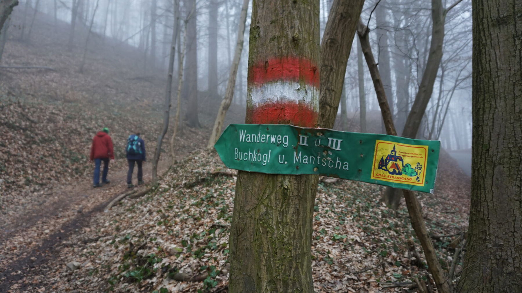 Auf dem Wanderweg. Foto: Daniel Strohrigl