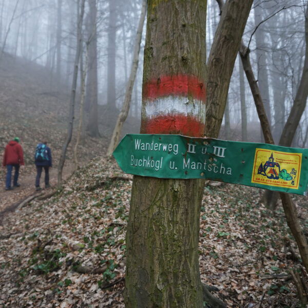 Auf dem Wanderweg. Foto: Daniel Strohrigl