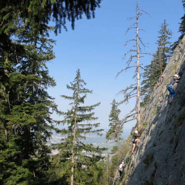 Klettergarten Gaisberg. Foto: Freiluftleben