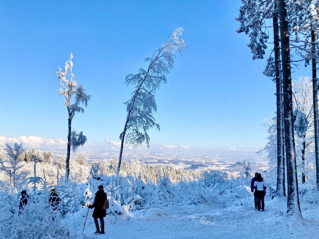 Am Gipfel-Plateau: Blick ins „Untere Mühlviertel“. Foto: Stefan Hochhold