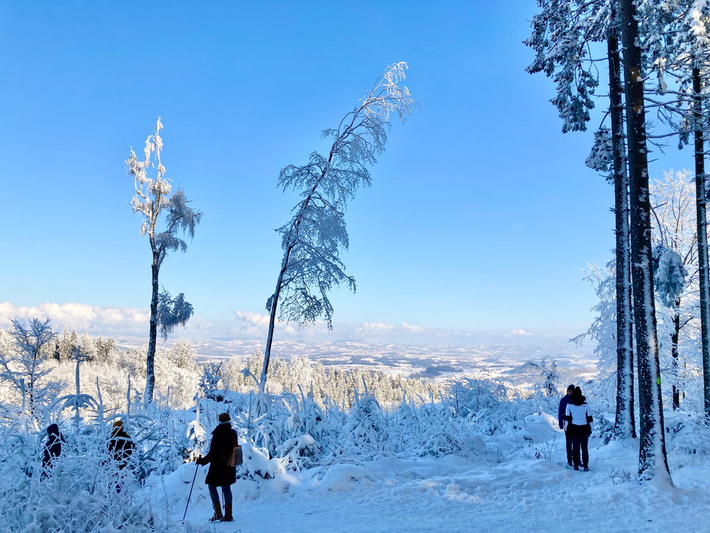 Am Gipfel-Plateau: Blick ins „Untere Mühlviertel“. Foto: Stefan Hochhold