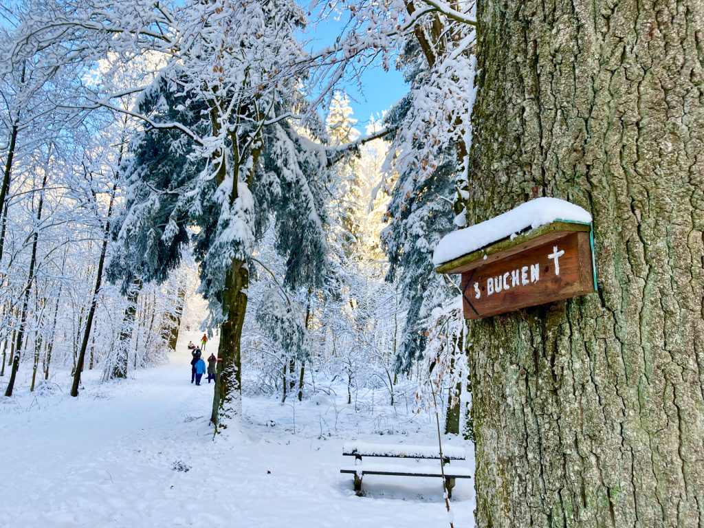 Zum zweiten Gipfel(-kreuz) bei den drei Buchen. Foto: Stefan Hochhold