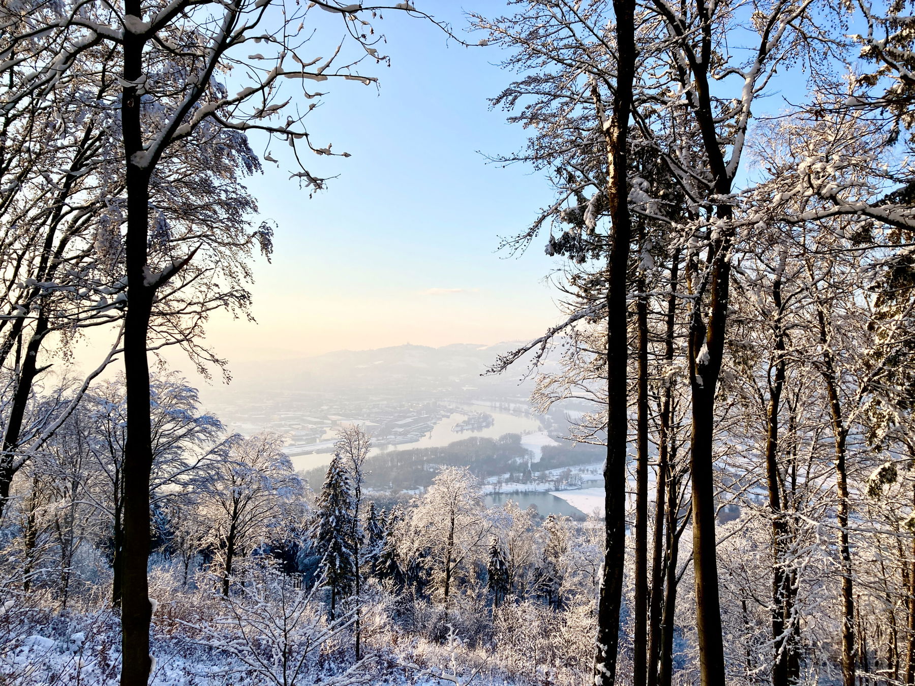 Schnee-Juchee am Pfenningberg
