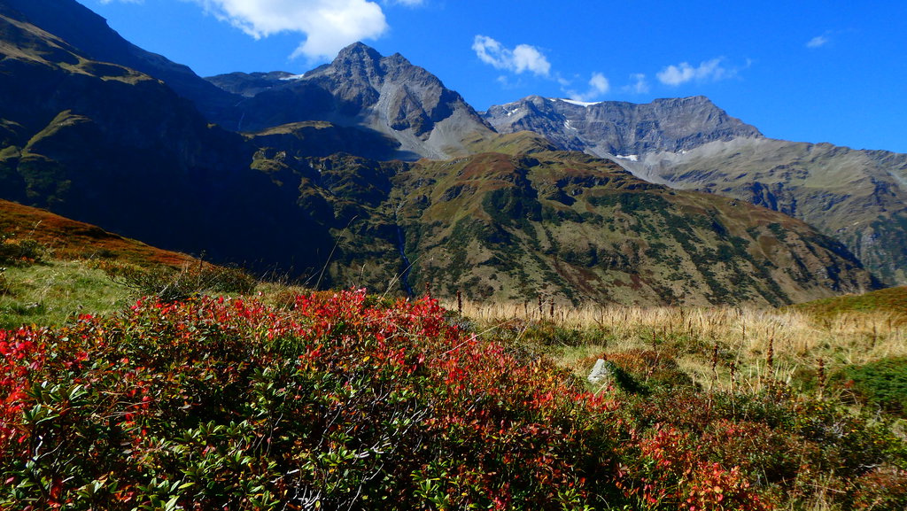Herbstfarben - Rückblick zum Sparangerkopf und Schareck (rechts). Foto: Karl Plohovich