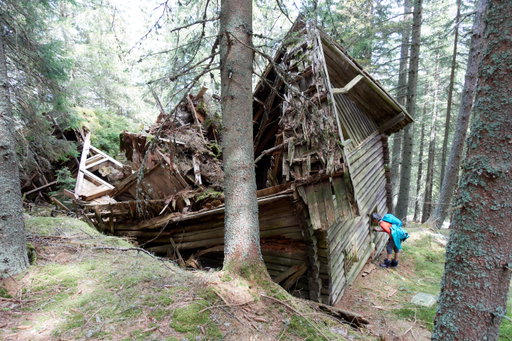 Der richtige Weg...zum Traumhaus. Fotos Veronika Schöll und Martin Heppner