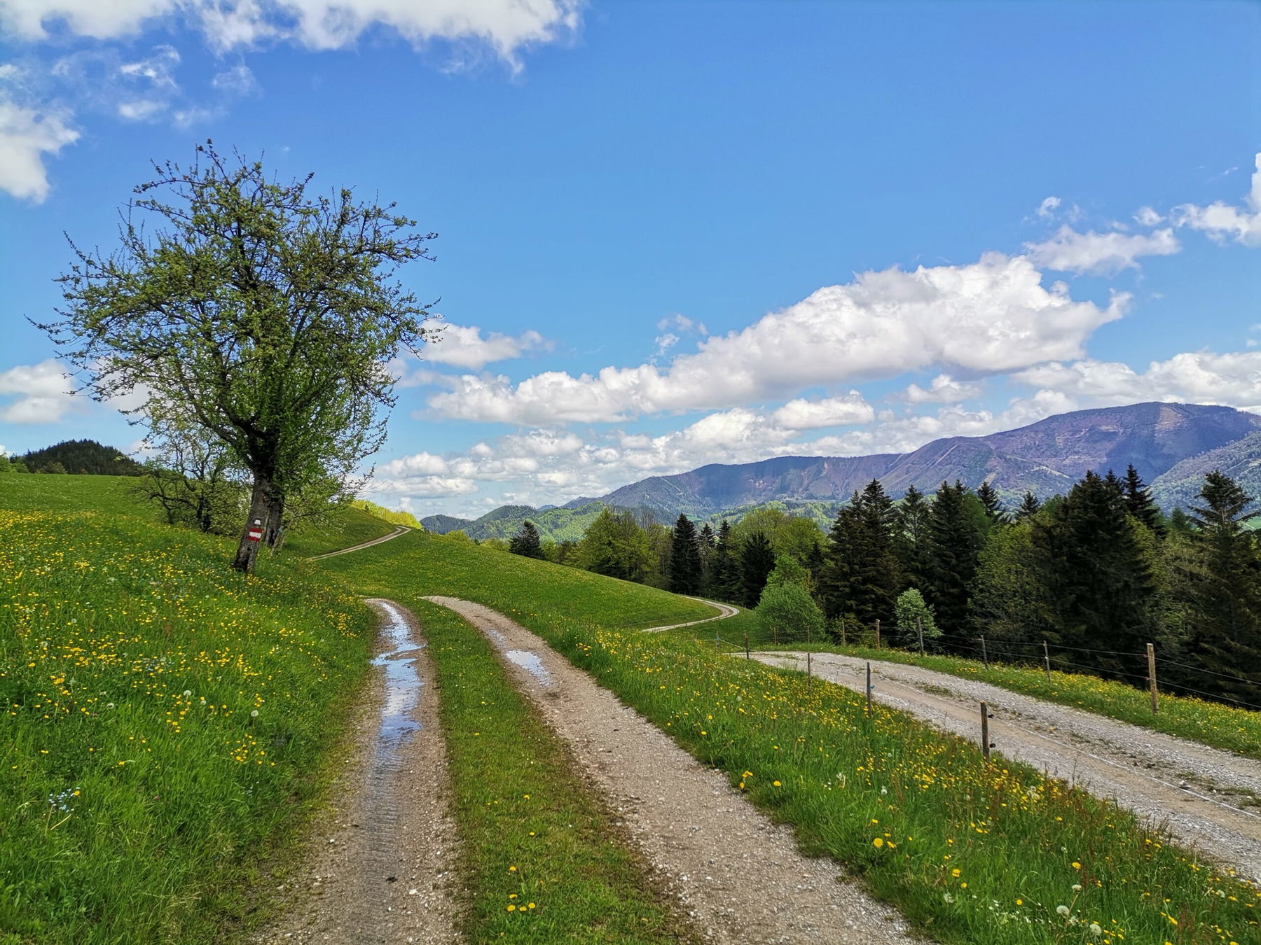 Über die grünen Gipfel von Gaflenz