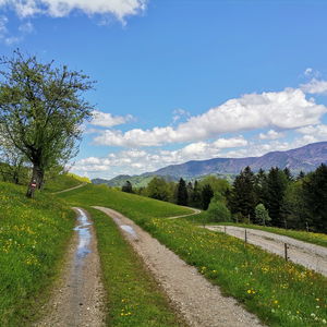 Über die grünen Gipfel von Gaflenz