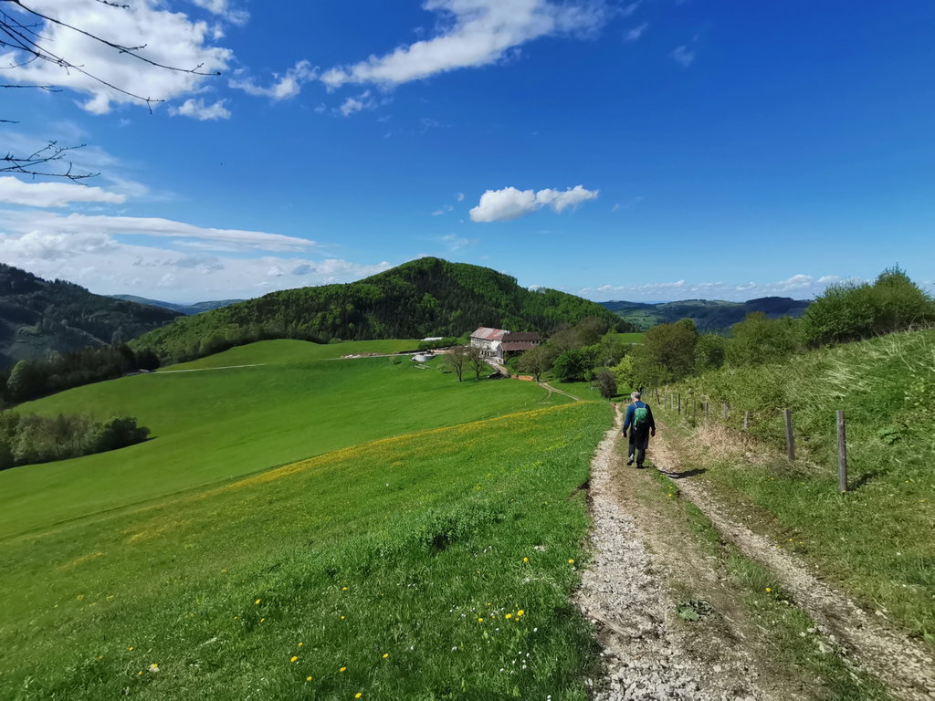 Obergrasberg. Foto Veronika Schöll
