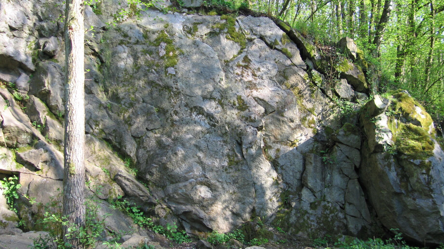 Klettergarten Dörnbach. Foto: Peter Resch/AV Leonding