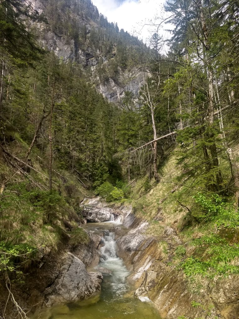 Im Abstieg durch das Gaisbachtal. Foto: Nikolaus Vogl