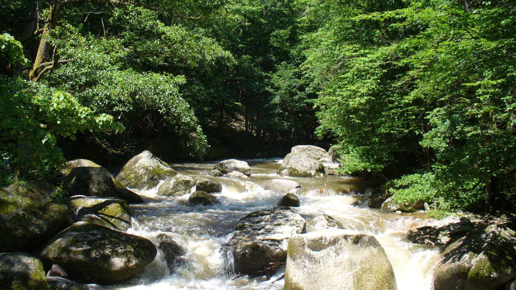 Natura Trail Feldaist. Foto: Andrea Lichtenecker