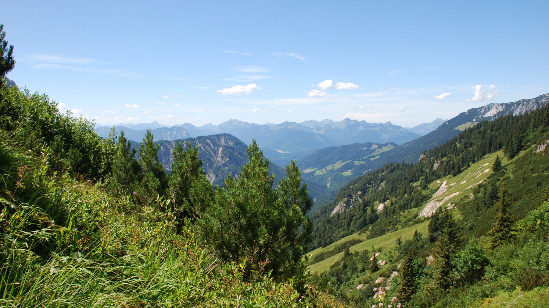 Natura Trail Kaisergebirge. Foto: Andrea Lichtenecker