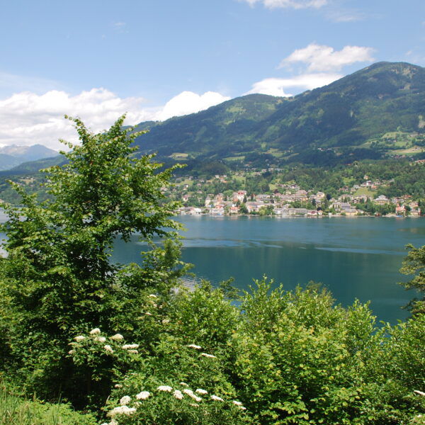 WohlfühlWeg Millstätter See. Foto: Andrea Lichtenecker