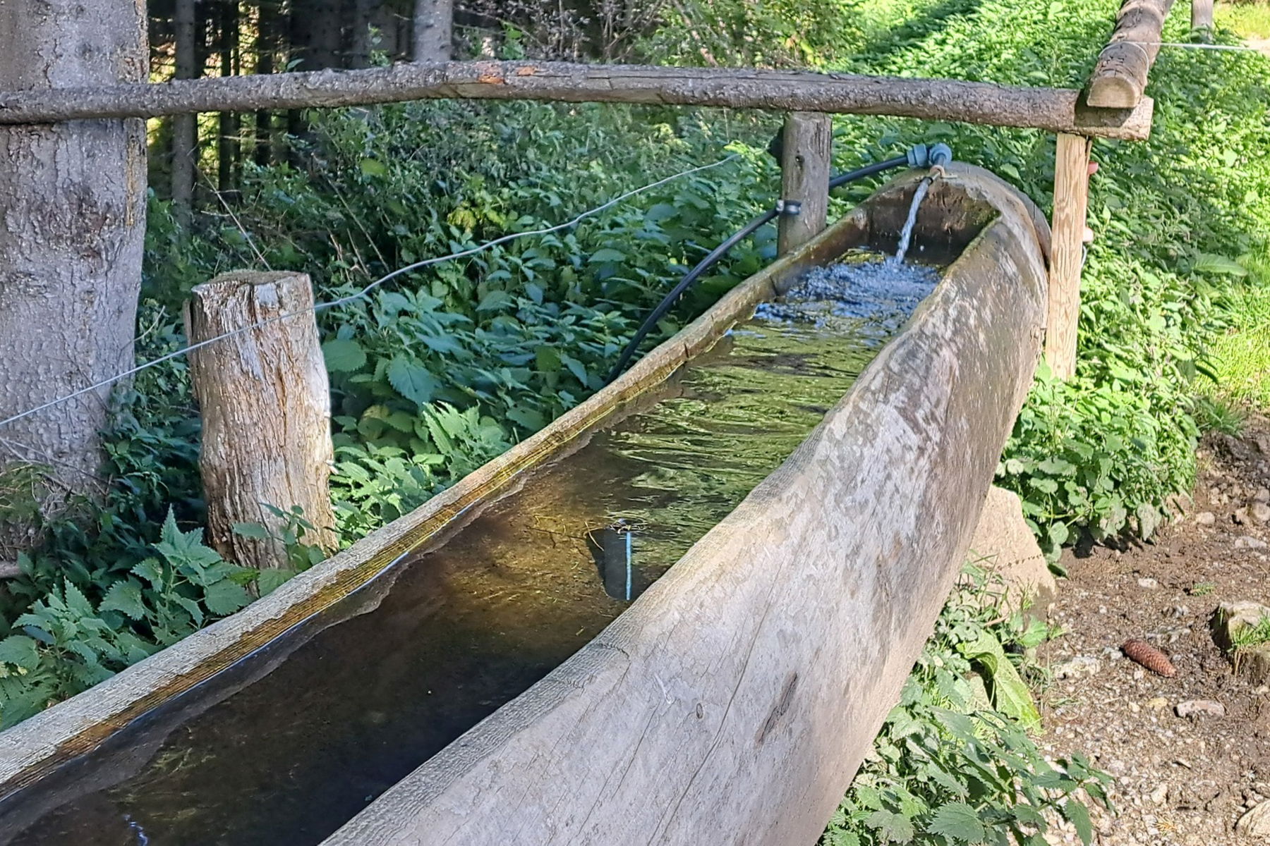 Endlich Trinkwasser! Foto: Gerold Petritsch