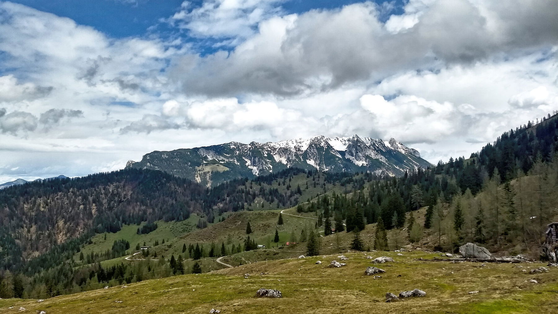 Zahmer Kaiser. Foto: Nikolaus Vogl