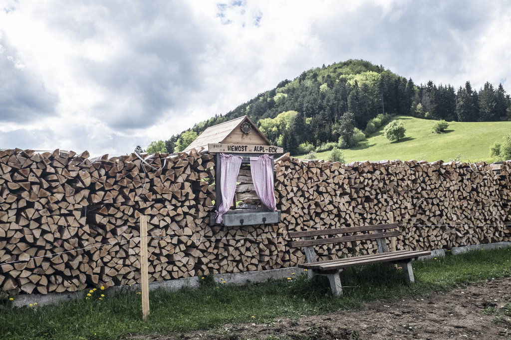 Beim Mostheurigen Steurer. Foto: Birgit Reiter
