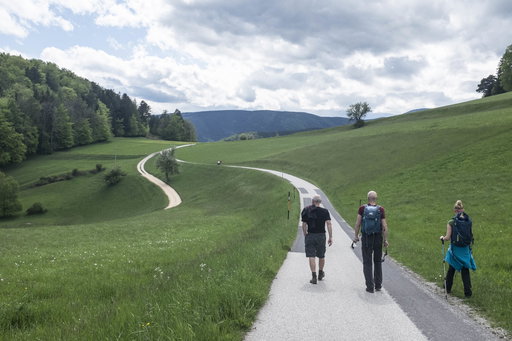 Landschaft bei Gutenmann 1. Foto: Birgit Reiter