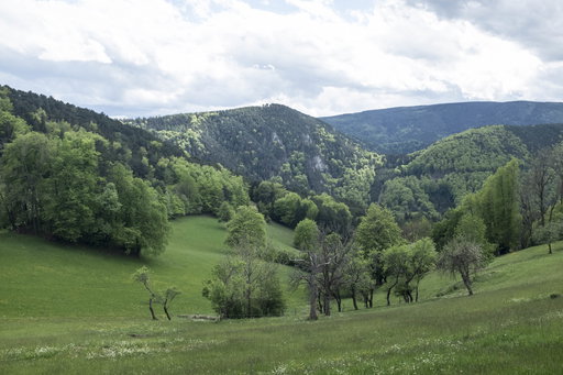 Landschaft bei Gutenmann 2. Foto: Birgit Reiter