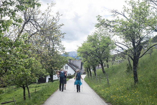 Gehöft in Gutenmann. Foto: Birgit Reiter