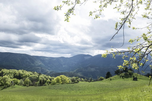 Blick auf die südlichen Ausläufer des Schneebergs. Foto: Birgit Reiter