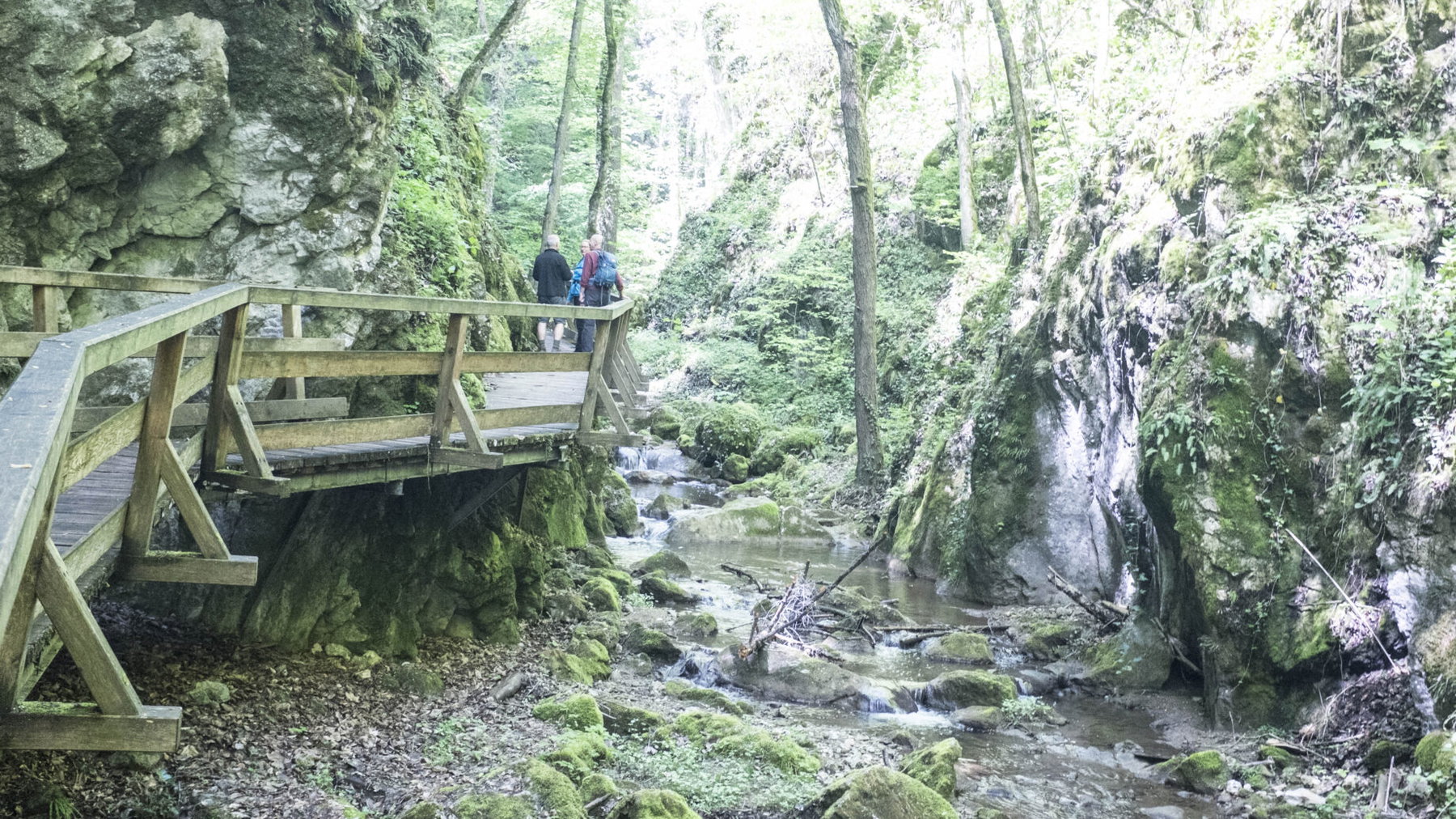 Johannesbachklamm. Foto: Birgit Reiter