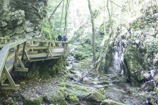 Johannesbachklamm. Foto: Birgit Reiter