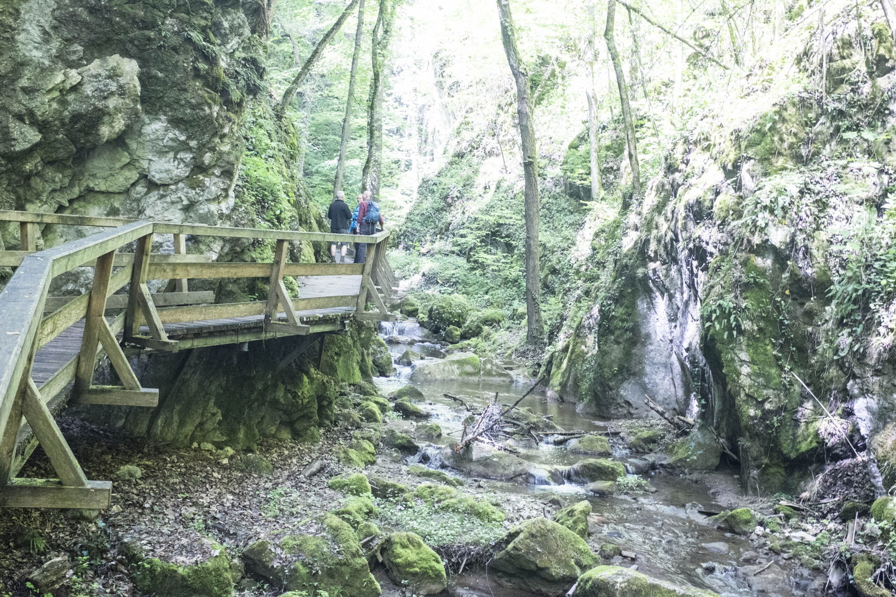 Vor dem Schneeberg – von Würflach nach Puchberg