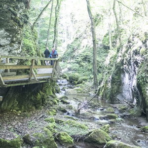 Vor dem Schneeberg - von Würflach nach Puchberg