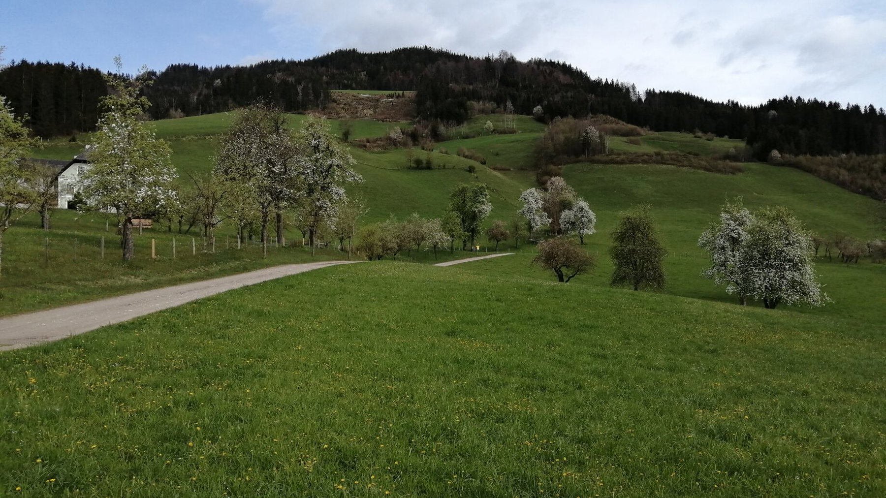 Opponitz navh Oberland. Foto: Jürgen Birgl