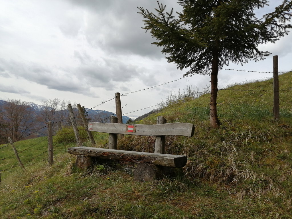 Am Weg zum Obermitterkogel kann man die Aussicht ins Ybbstal genießen. Foto: Jürgen Birgl