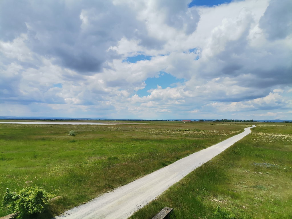Lange Lacke. Foto Veronika Schöll 
