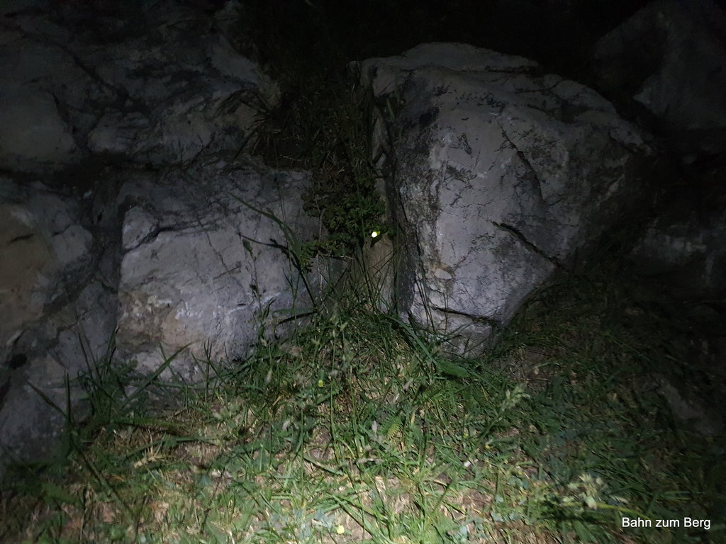 Glühwürmchen auf der Hohen Wand. Foto: Onanood Phadoongvithee
