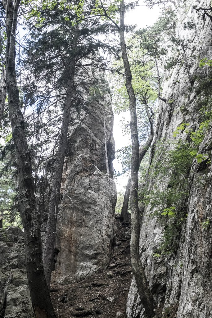 Felswände. Foto: Birgit Reiter