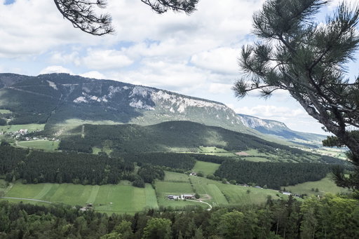 Blick auf die Hohe Wand. Foto: Birgit Reiter