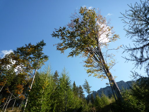 Auf dem Fadenweg, Blick zu den Fadenwänden. Foto: Alpenverein Edelweiss