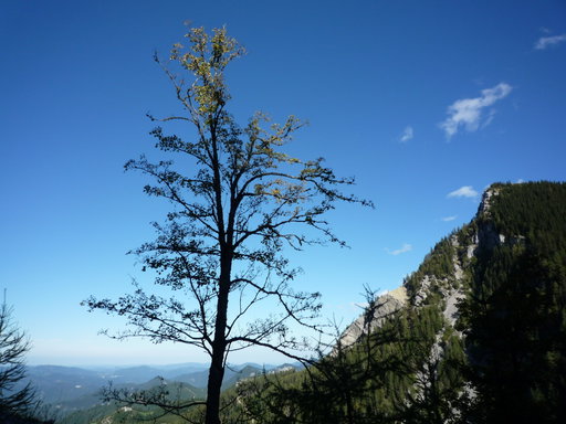 Auf dem Fadenweg. Foto: Alpenverein Edelweiss