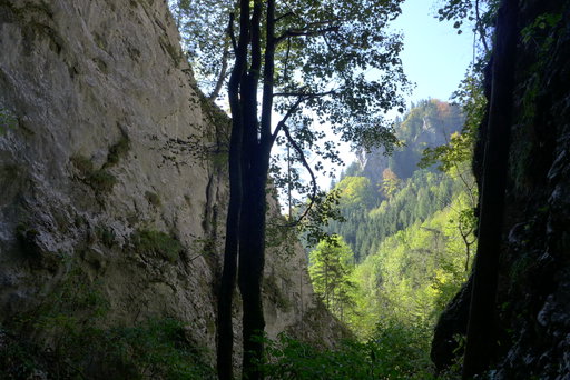 In der Weichtalklamm 1. Foto: Alpenverein Edelweiss