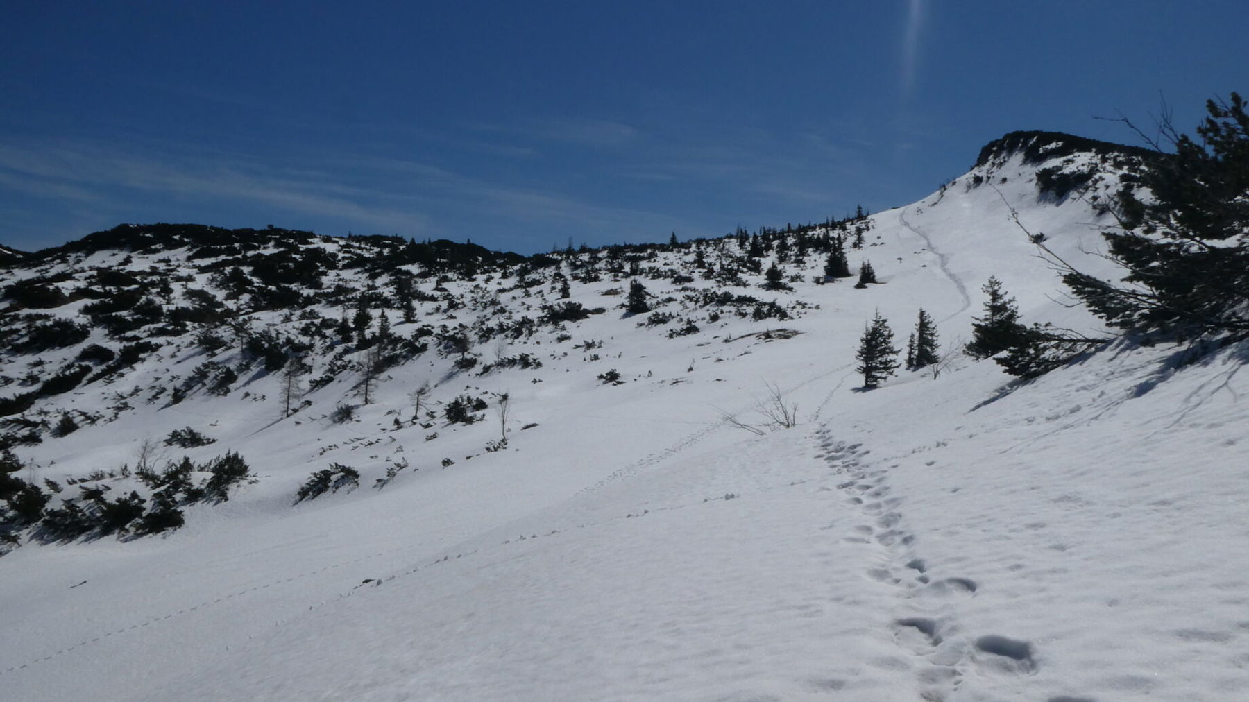 Blick zum Hirschanger, rechts der Hirschangerkopf. Foto: Karl Plohovich