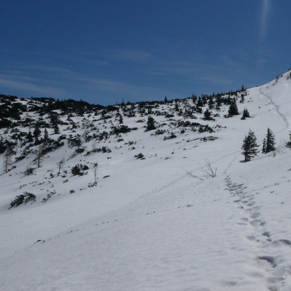 Blick zum Hirschanger, rechts der Hirschangerkopf. Foto: Karl Plohovich