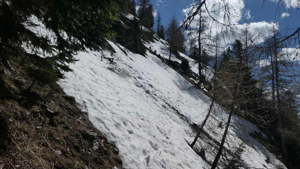 Der steile Hang, der gequert wird. Foto: Karl Plohovich
