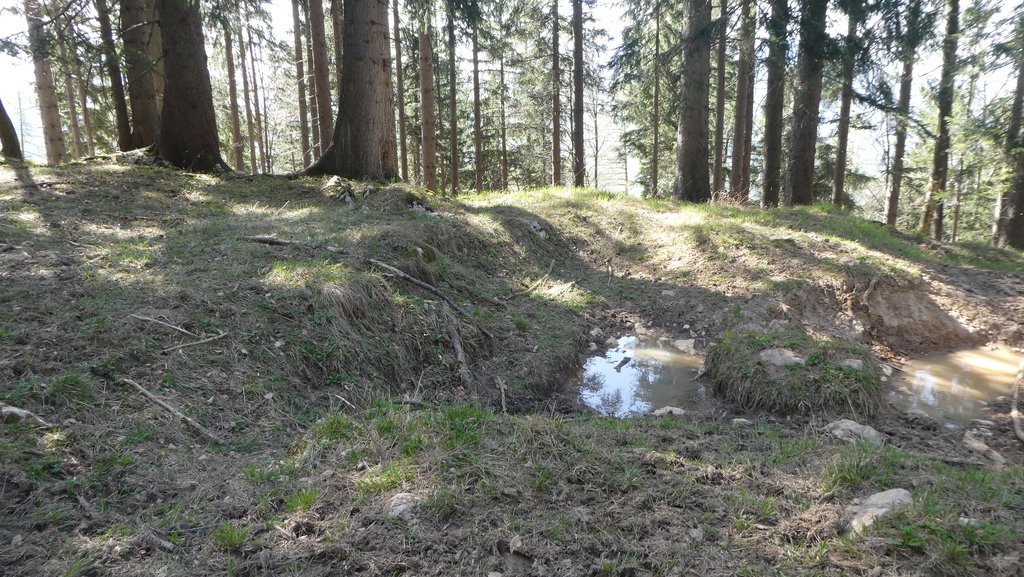 Wasserstelle für WaldbewohnerInnen. Foto: Karl Plohovich