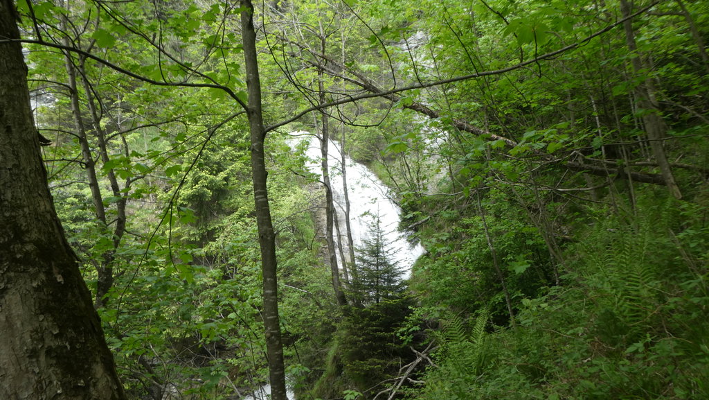 Kirchbach Wasserfall. Foto: Karl Plohovich