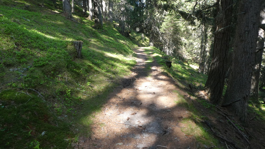 Nahe Eggeralm. Foto: Karl Plohovich
