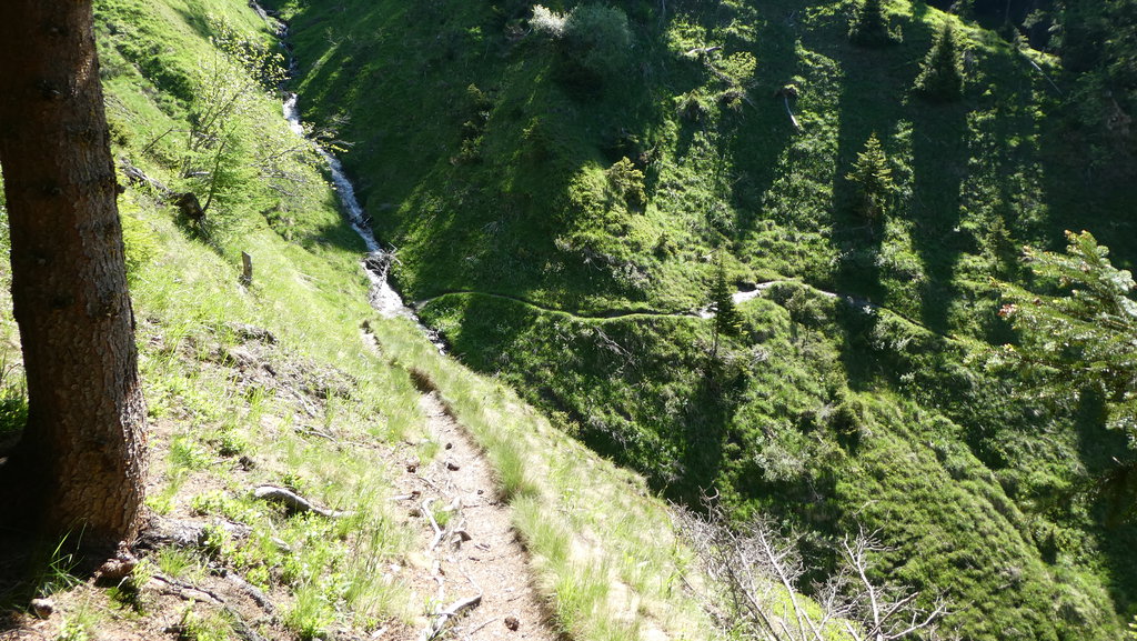 Viele Rinnen werden gequert. Foto: Karl Plohovich