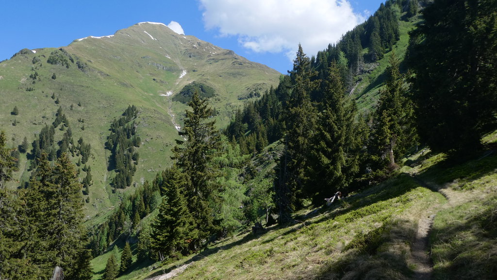 Gamskarkogel (2.467 Meter). Foto: Karl Plohovich