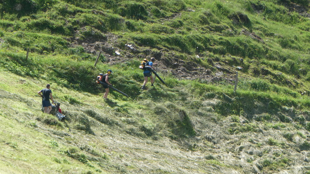 Laubbläser bei der Heuernte. Foto: Karl Plohovich