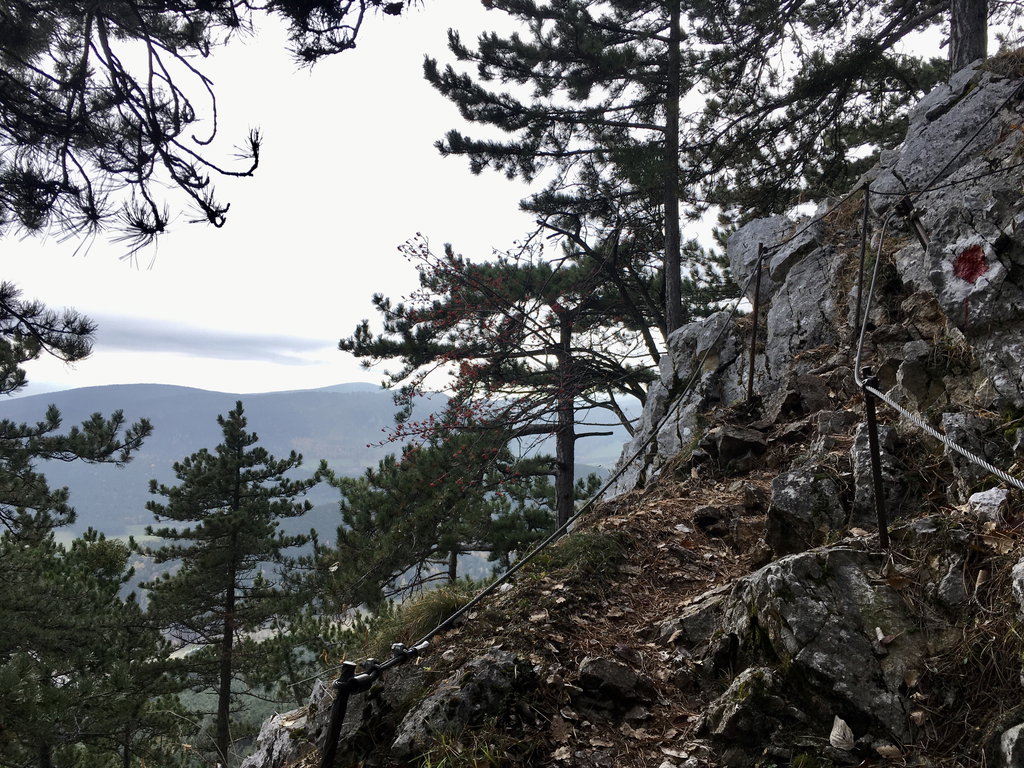 Springlessteig. Foto: Veronika Schöll